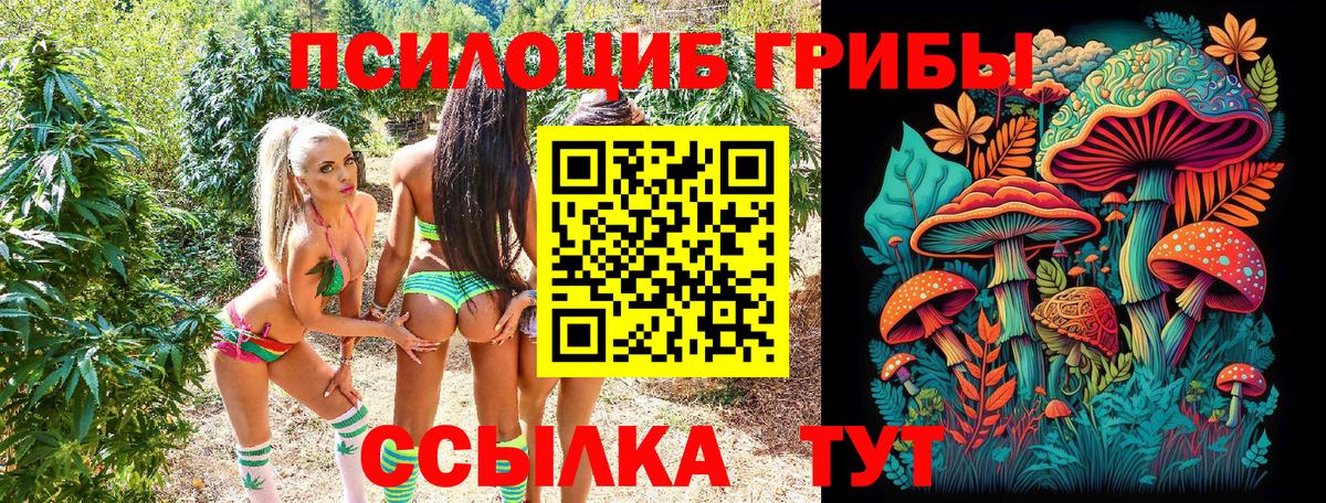 Псилоцибиновые грибы Psilocybe Обь